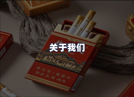 关于我们